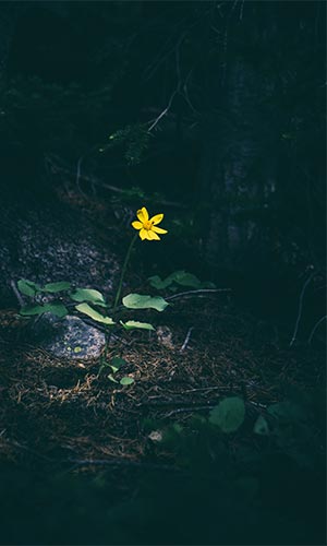 Wedding photograph 26